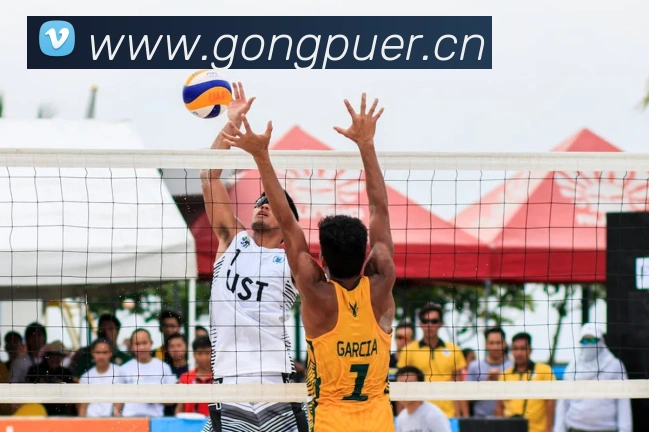 乐竞官网网页版入口APP 封面图